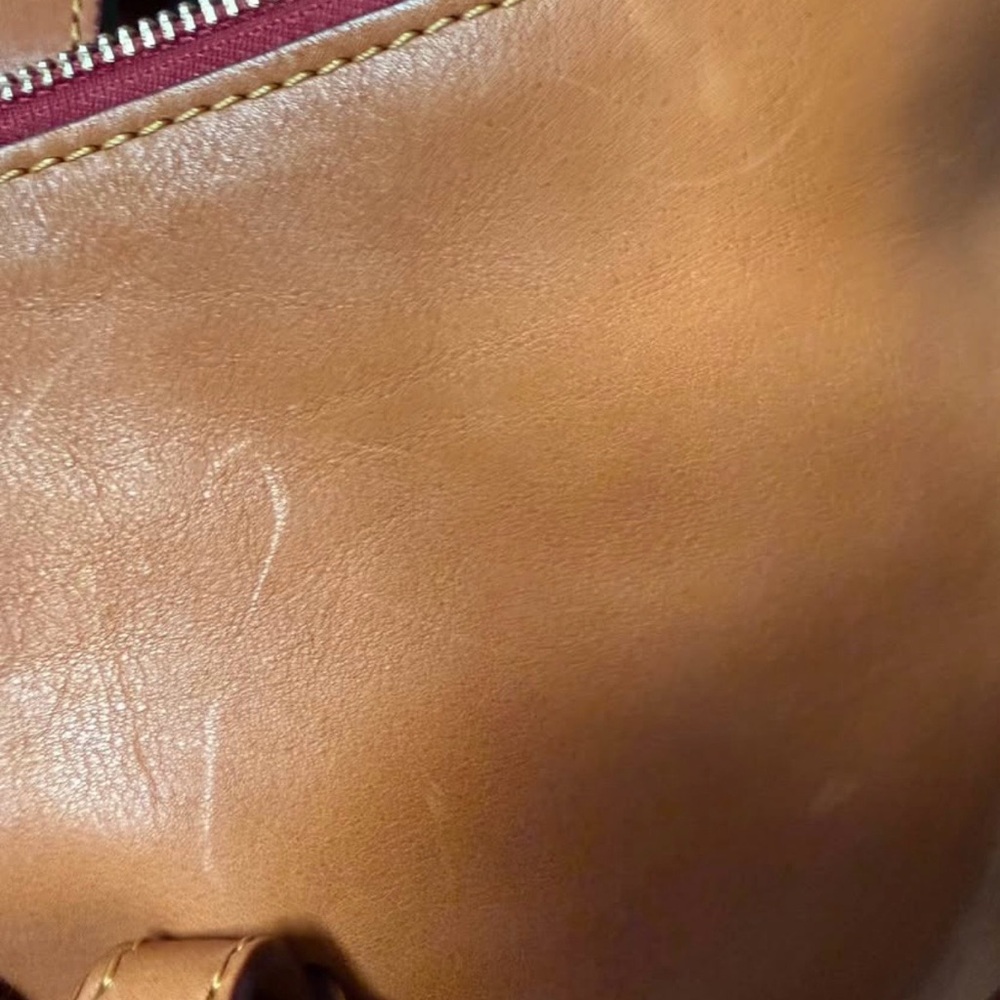 Dooney & Bourke Florentine Satchel Mini Bag with signature Interior. - Picture 8 of 13